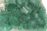 Green, Fluorescent, Cubic Fluorite Crystals - Madagascar #246161-1